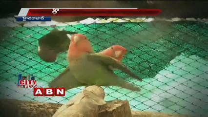 Hyderabad Zoo animals got partners (17-02-2017)
