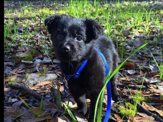 It's Connor's Birthday