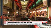 Losses from foot-and-mouth disease extends to consumers