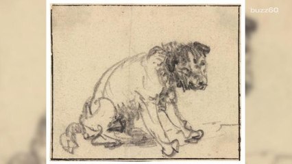 Museum Shocked to Discover Dog Drawing is Priceless Rembrandt