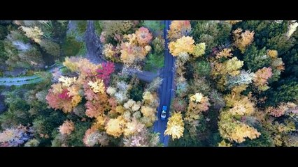 Robert Robert avec Anna Madjison - Misunderstood