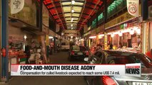 Losses from foot-and-mouth disease extends to consumers