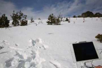 Karadeniz Yaylalarında -22 Derecede Terör Operasyonu