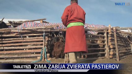 ZIMA ZABIJA ZVIERATA PASTIEROV