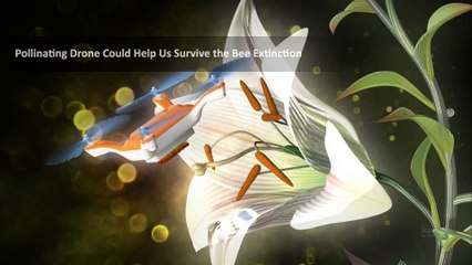 Des scientifiques créent des "drones abeilles" pour combattre la prochaine "abeille-pocalypse"