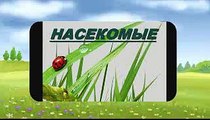 НОВЫЕ!!! Учим НАСЕКОМЫХ - для детей!! Развивающие мультфильмы для малышей