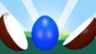 Learn Colours Surprise Eggs Opening for Children - Animated Surprise Eggs for Learning Colors Part 3