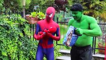 Hulk Loses his PANTS ! w Spiderman, Frozen Elsa, Lion, Black Spiderman, Pink Spidergirl & Gum