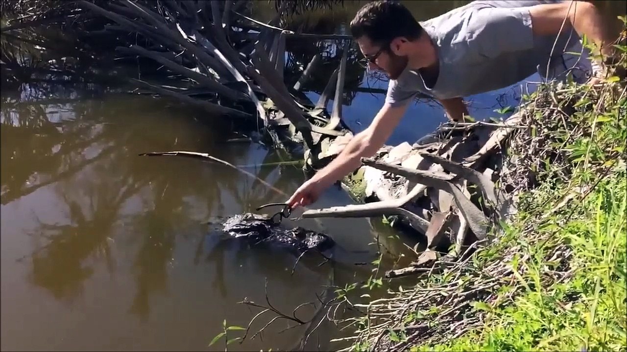 Défi : poser des lunettes sur un crocodile ! les fous...