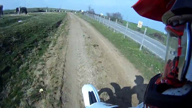 Un pilote de motocross renverse une vache à pleine vitesse