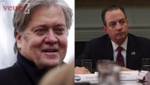 Bannon and Priebus Insist There Is No friction Between Them