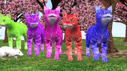 Animal Sound Video for Kids | Farm Animal Nursery Rhymes & Songs for Babies