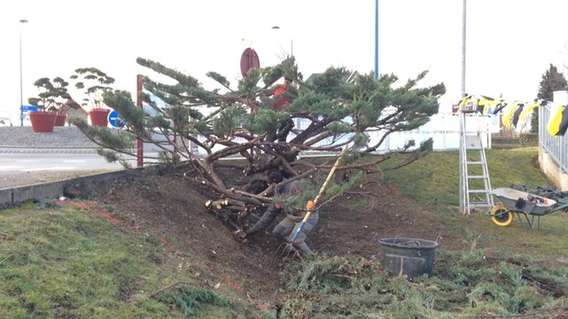 Une tailleuse de nuages au Bény-Bocage