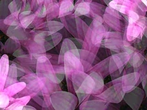 Ksos : Gay & society jingle