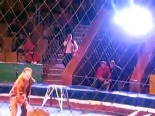 il se fait attaquer en plein cirque par un lion