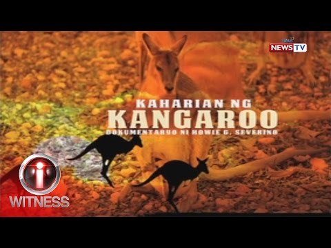 I-Witness: 'Ang Kaharian ng Kangaroo', dokumentaryo ni Howie Severino (full episode)