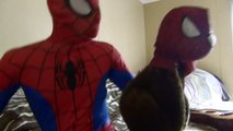 Spiderman VS Spidermonkey Dancing In Real Life Superheroes Movies in Real Life Playlist Pa