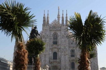 Kilisenin Önüne Dikilen Palmiyeler İtalyanları Çileden Çıkardı