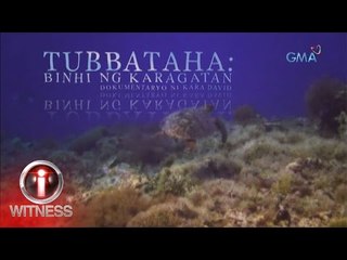 I-Witness: ‘Tubbataha: Binhi ng Karagatan,’ dokumentaryo ni Kara David (full episode)