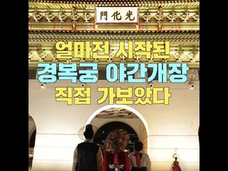 얼마전 시작된 경복궁 야간개장 직접 가보았다