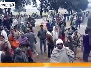 Snakes appear after grave demolition Rampur - Video