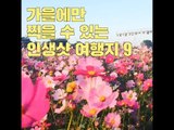 가을에만 찍을 수 있는 인생샷 여행지 9