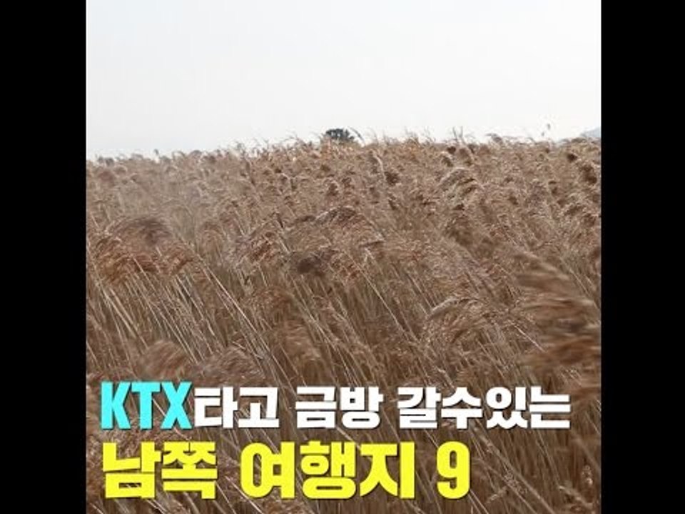 KTX타고 금방 갈수있는 남쪽 여행지 9곳