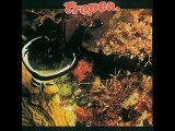 A FLG Maurepas upload - John Tropea - Muff - Jazz Fusion