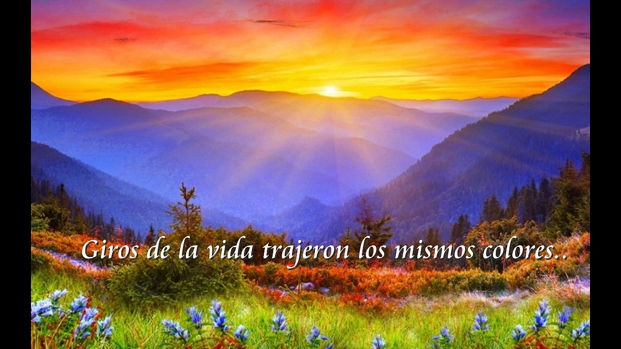 COMO GOTA DE LLUVIA ( Rodolfo Fito Maidana)