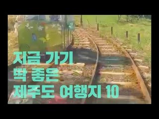 지금가기 딱 좋은 제주도 여행지 10