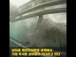 지구상에 존재하는 가장 무서운 액티비티 10