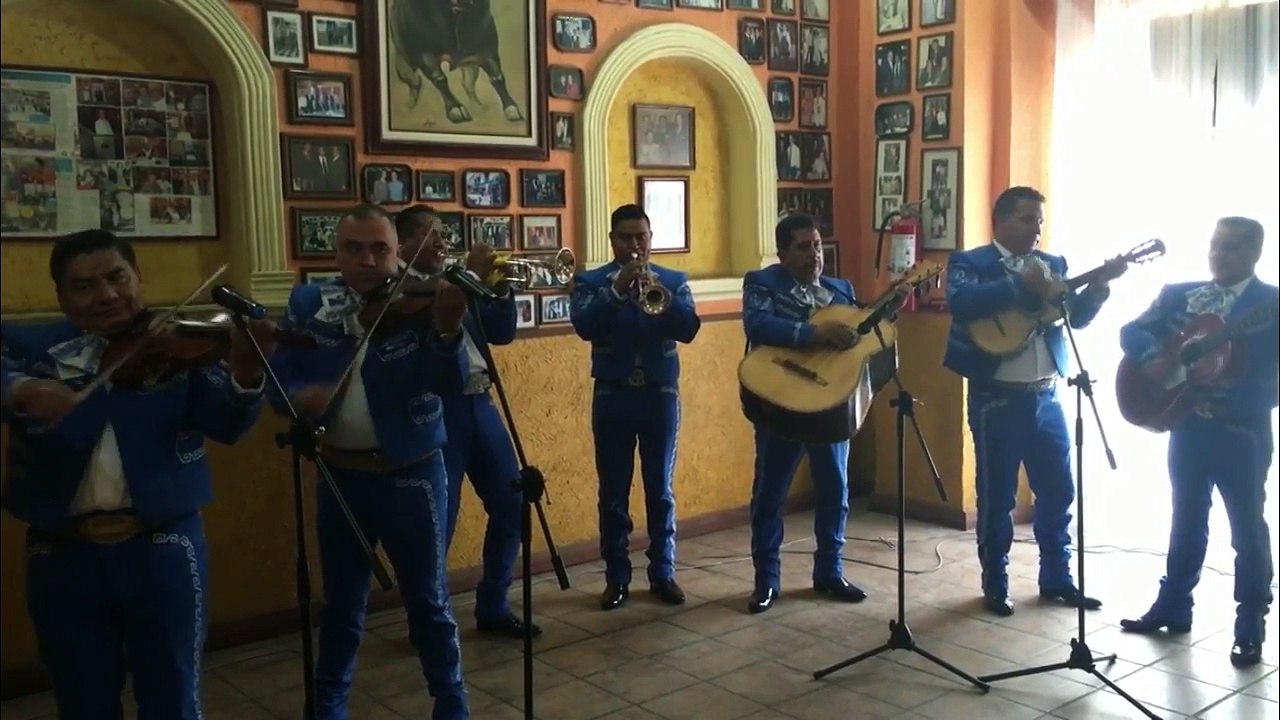 Mariachis Económicos Coyoacán T. 5527818914