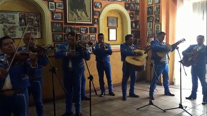 Mariachis Económicos Iztacalco Tel. 35361912