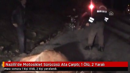 Nazilli'de Motosiklet Sürücüsü Ata Çarptı: 1 Ölü, 2 Yaralı