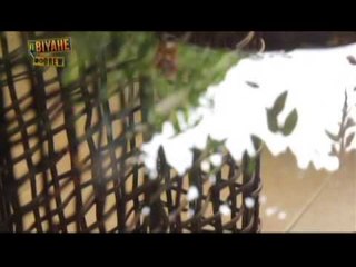 Biyahe ni Drew: Viewers' Choice Special! (full episode )