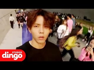 주우재에 의한 주우재를 위한 주우재의 "허세 셀캠" - 딩고 X 2015 서울패션위크