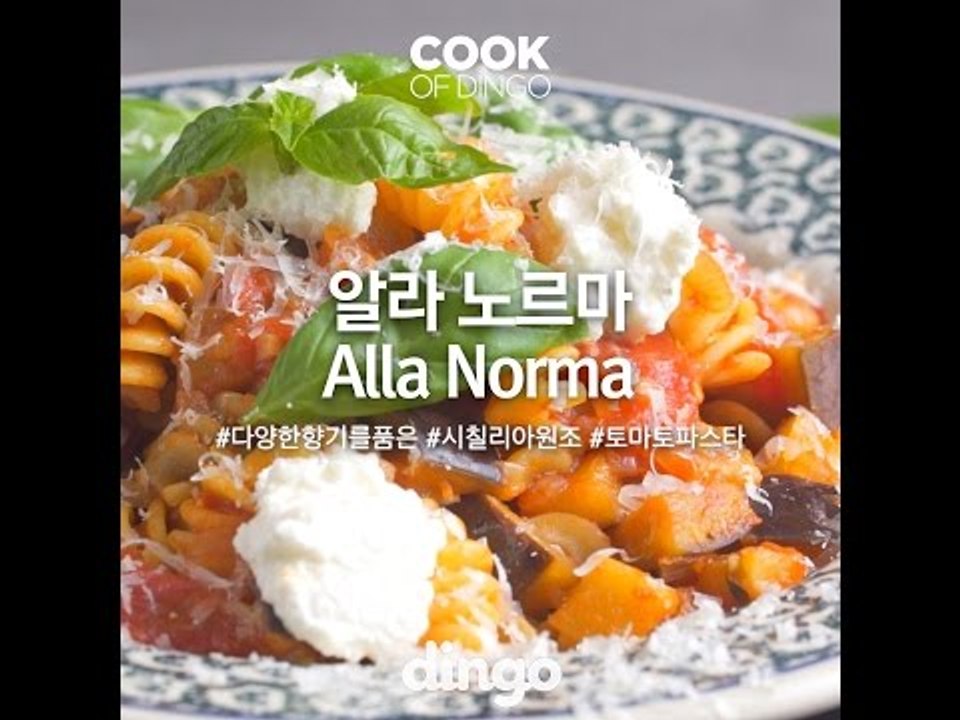 [Cook of Dingo]#212 알라노르마