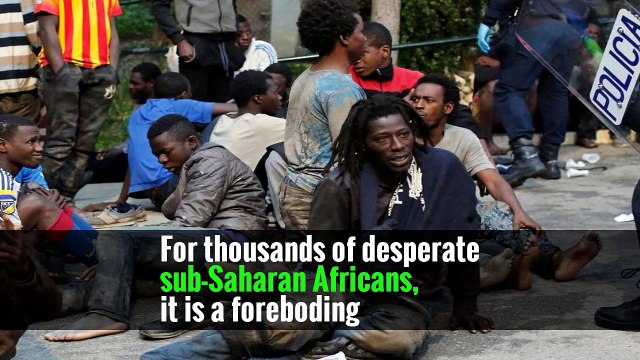 Risking Injury and Arrest, African Migrants Storm a Gate to Europe