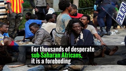 Risking Injury and Arrest, African Migrants Storm a Gate to Europe