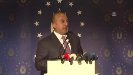 Dışişleri Bakanı Çavuşoğlu Almanya'da (3)