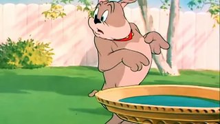 Best of Tom and Jerry 1954 SLICKED UP PUP MOST FUNNY COLLECTION