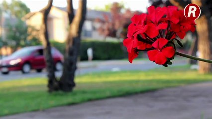 LQCLM - Acepté que mi marido sea infiel para no quedarme sola -pt3