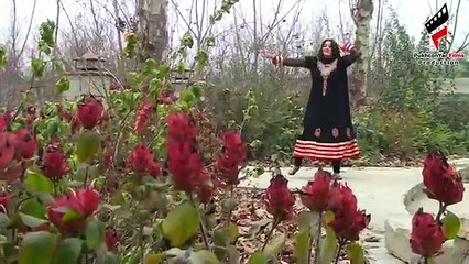 Скачать видео: Pashto New Songs 2017 Shahsawar & Sitara Younas - Da Yo Zargi Na Bel Ta Lar Wee