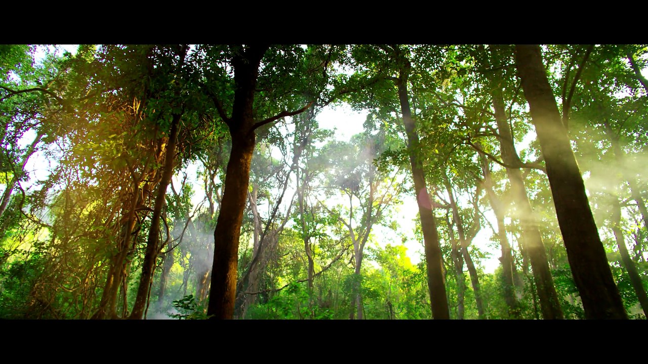Vanamagan - Official Teaser _ Jayam Ravi _ Vijay _ Harris Jayaraj _ Thirunavukkarasu