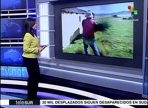 Bolivia: crece número de créditos sociales otorgados por bancos
