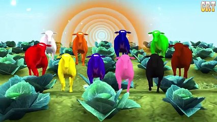 Colourful Colour Song Learning Nursery Rhymes For Children Rhymes Tv Compilation
