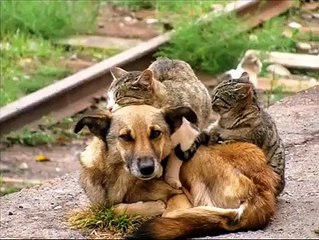 Rate this pic or say some thing about this awsome video