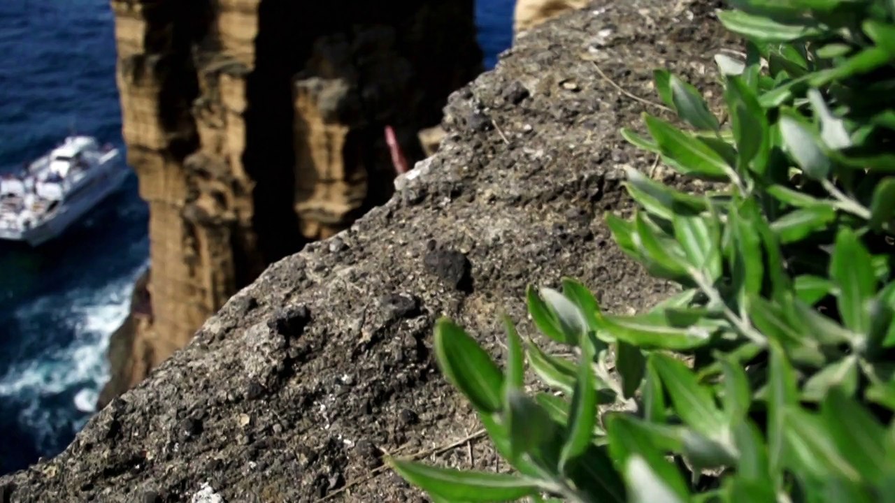 Red Bull Cliff Diving World Series