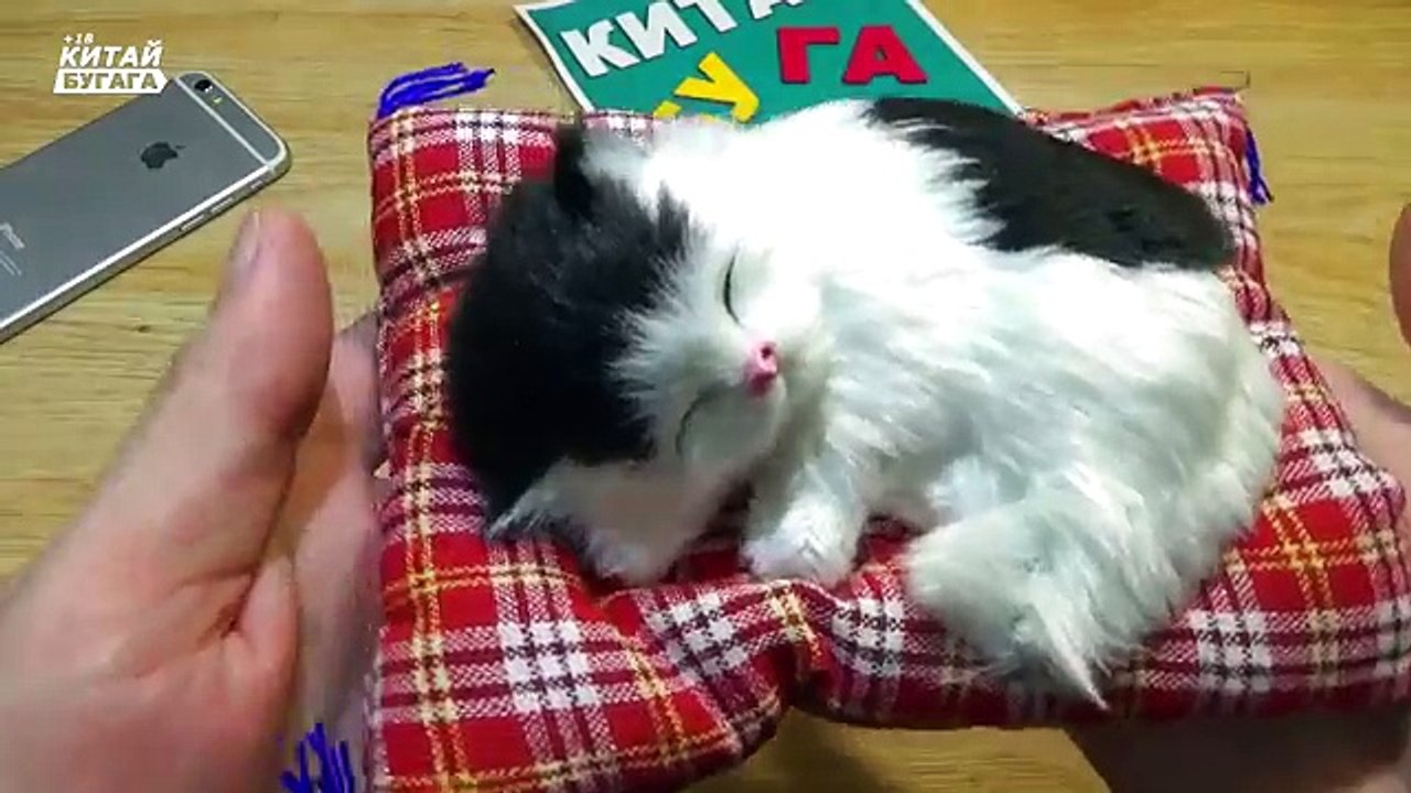 Я ПЛАЧУ: В ПОСЫЛКЕ КОТИК ИЗ КИТАЯ - САМАЯ НЯШНАЯ ПОСЫЛКА !