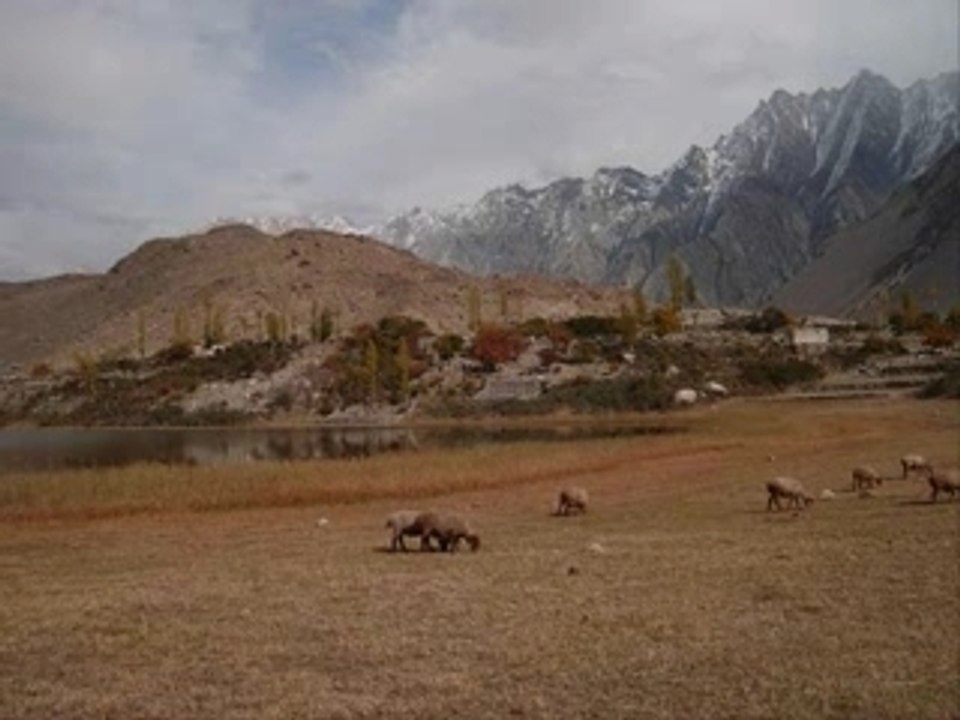 Gulmit